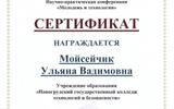 Новогрудчский гос колледж технологий и безопасности - 0003